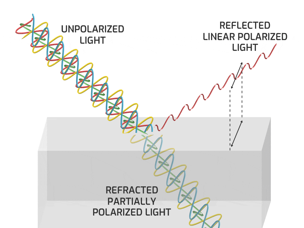 Polarization by reflection and refraction